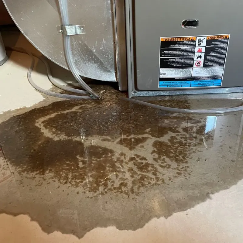 Pipe Burst and Leak Restoration in Rumney, NH